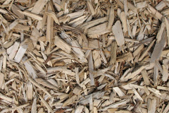 biomass boilers Curbridge